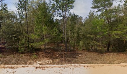 Recreational Property for sale in Putnam County, Florida