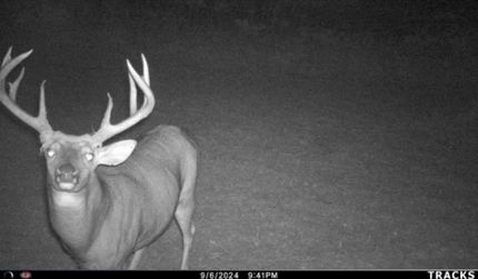 Property in Iowa County, Wisconsin