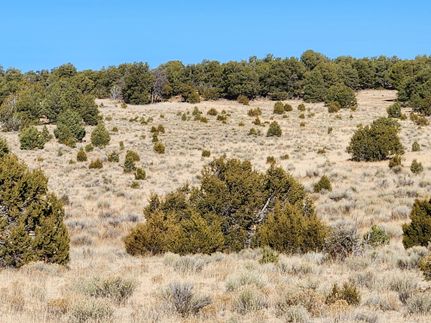 Property for sale in Catron County, New Mexico
