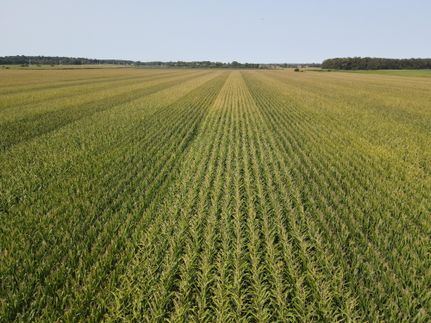 Property in Porter County, Indiana