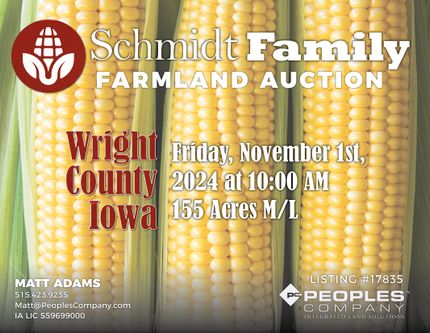 Property in Wright County, Iowa