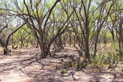 Property in Frio County, Texas