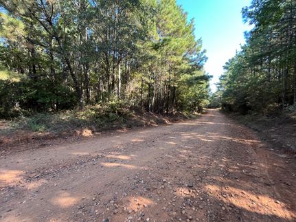 Property in Bienville Parish, Louisiana