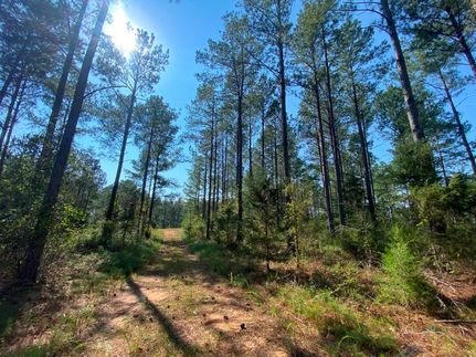 Property in Abbeville County, South Carolina