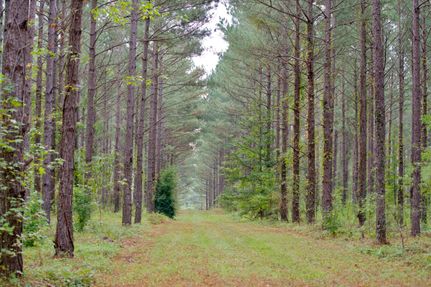 Property in Edgefield County, South Carolina