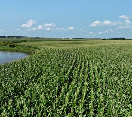 Property in LaMoure County, North Dakota