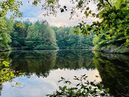 Property in Prentiss County, Mississippi