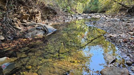 Property in Stone County, Arkansas