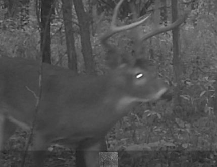 Property in Pike County, Illinois