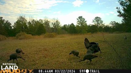 Property in Perry County, Alabama