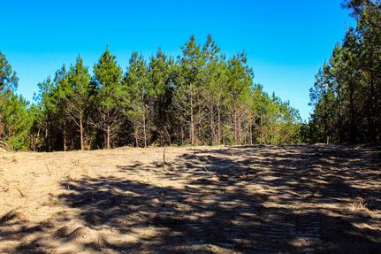 Property in Marion County, Alabama