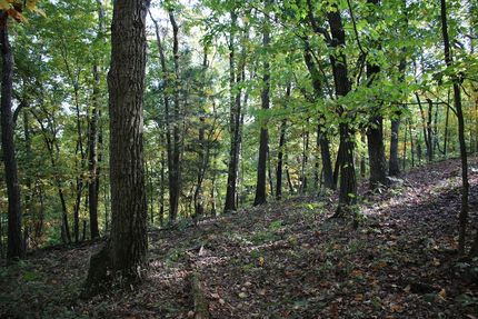 Property in Shenandoah County, Virginia