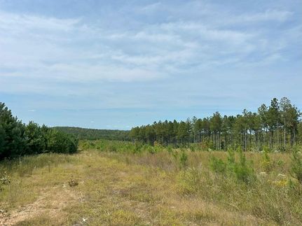 Property in Buckingham County, Virginia