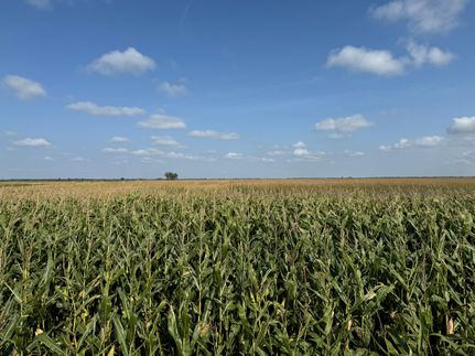 Property in Grand Forks County, North Dakota
