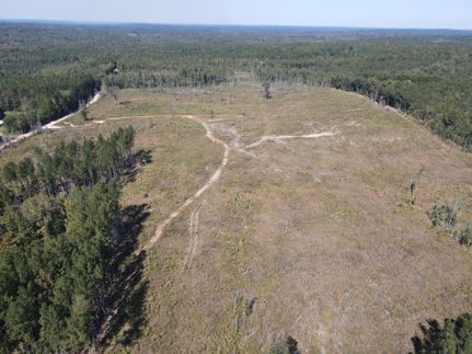 Property in Covington County, Alabama