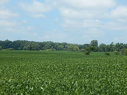 Property in Lenawee County, Michigan