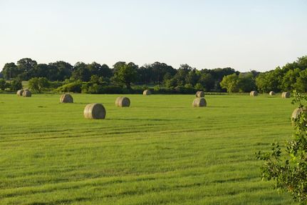 Property in Eastland County, Texas