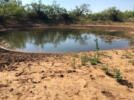 Property in Brown County, Texas