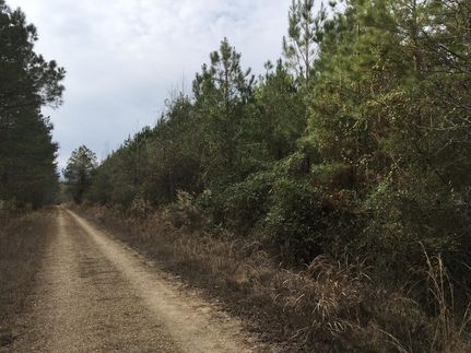 Property in Ashley County, Arkansas