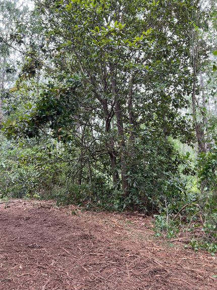 Property in Baldwin County, Alabama