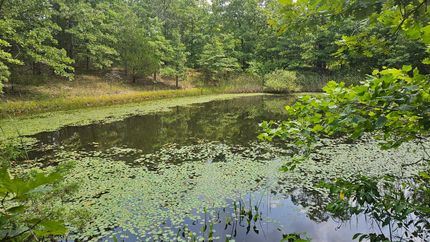 Property in Marion County, Arkansas