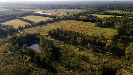 Property in Hempstead County, Arkansas