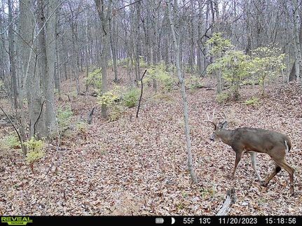 Property in Clark County, Illinois