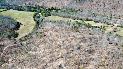 Property in Carter County, Missouri
