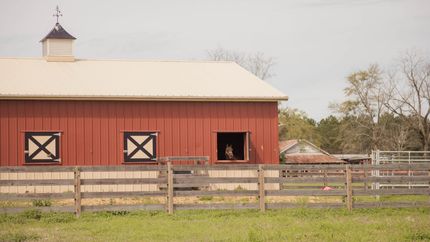 Property in Thomas County, Georgia