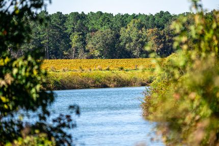 Property in Worth County, Georgia