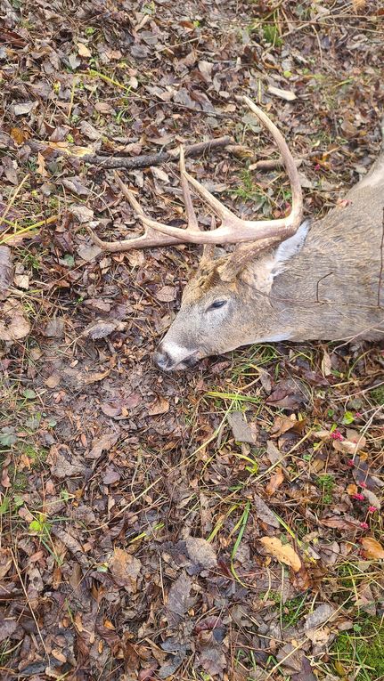 Property in Keokuk County, Iowa