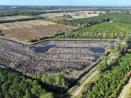 Property in Pamlico County, North Carolina