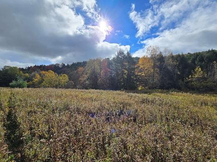 Property in Chenango County, New York