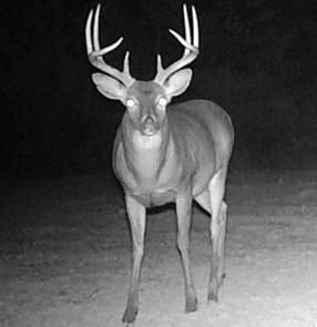 Property in White County, Arkansas