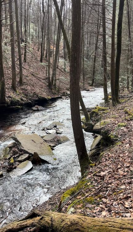 Property in Rhea County, Tennessee