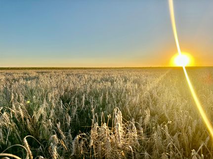 Property in Hale County, Texas