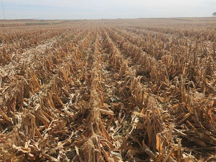 Property in Sioux County, Iowa