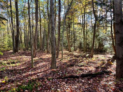 Property in Berkshire County, Massachusetts