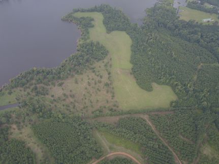 Property in Sabine Parish, Louisiana