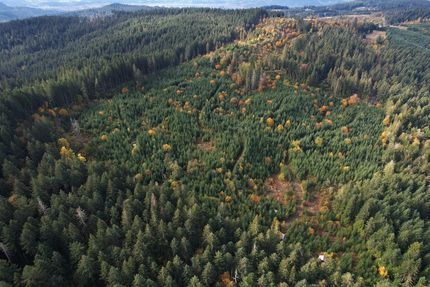 Property in Lane County, Oregon