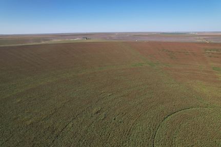 Property in Dallam County, Texas