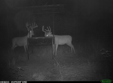 Property in Grady County, Georgia