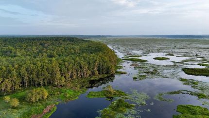 Property in Leon County, Florida