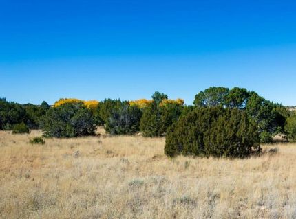 Property in Apache County, Arizona