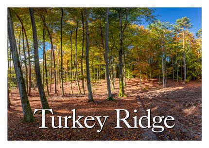 Property for sale in Benton County, Mississippi