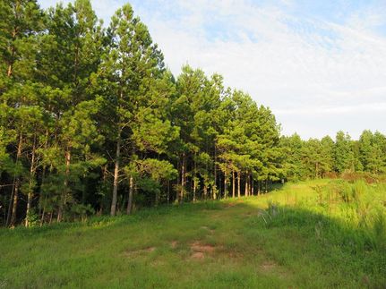 Property for sale in Stewart County, Georgia