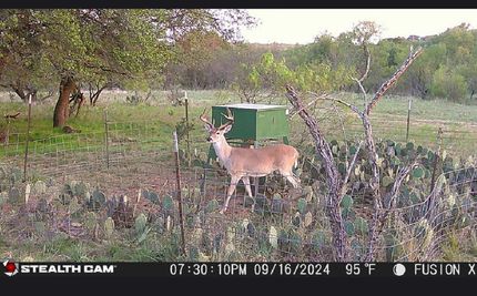 Property in Callahan County, Texas