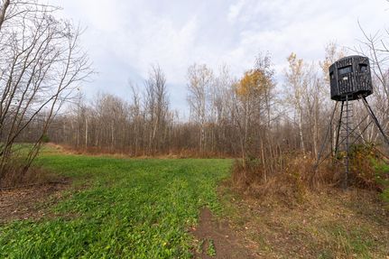 Property in Montmorency County, Michigan