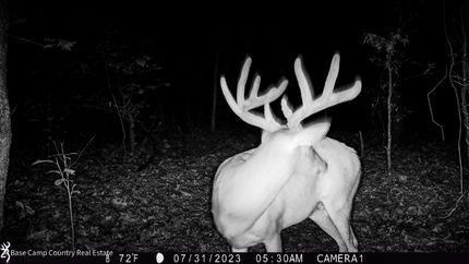 Property in Ripley County, Missouri