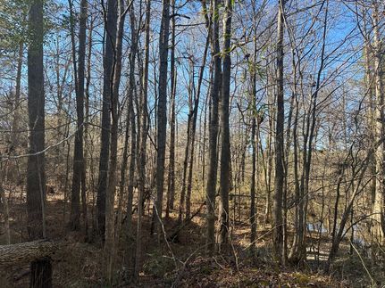 Property in Morehouse Parish, Louisiana